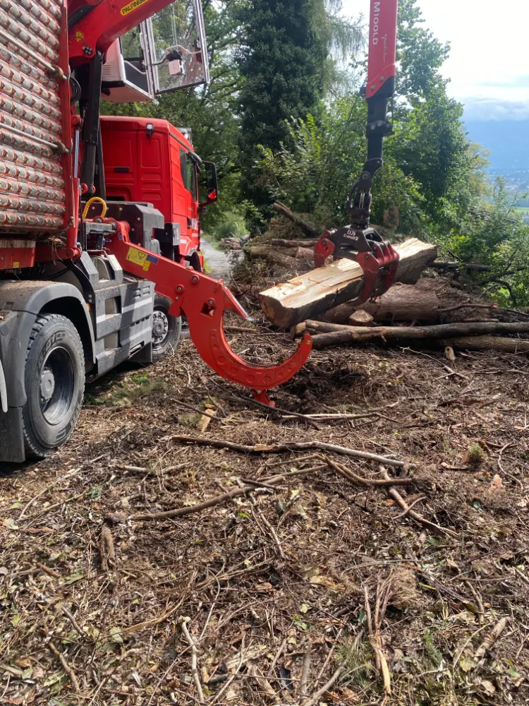 Wald Holz Energie AG Hacker