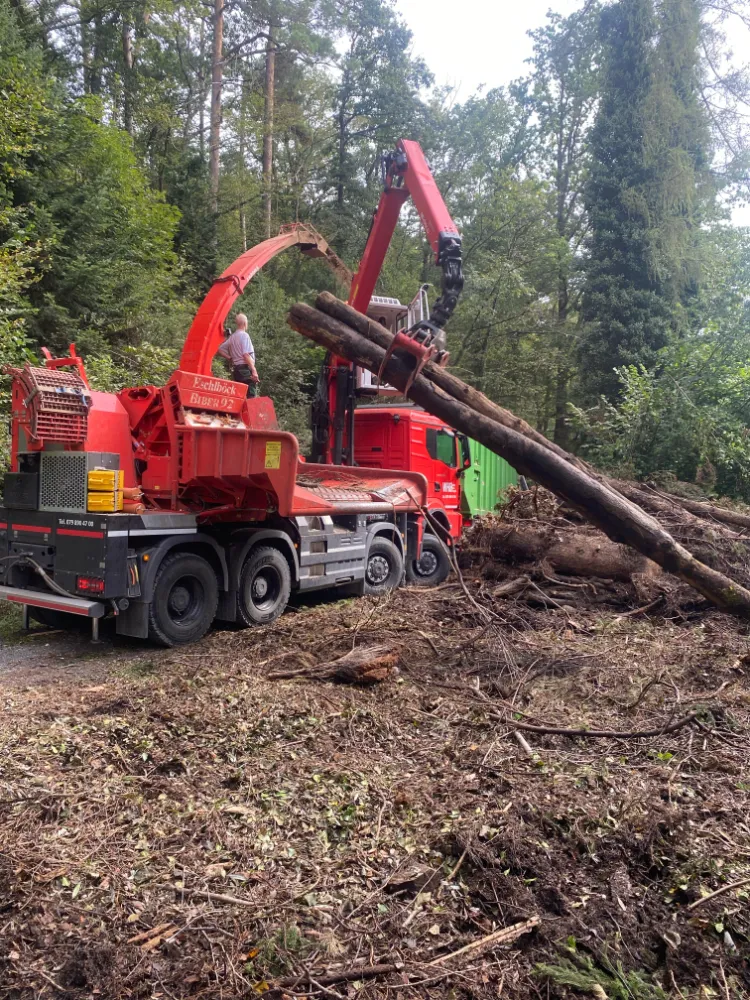 Wald Holz Energie AG Hacker