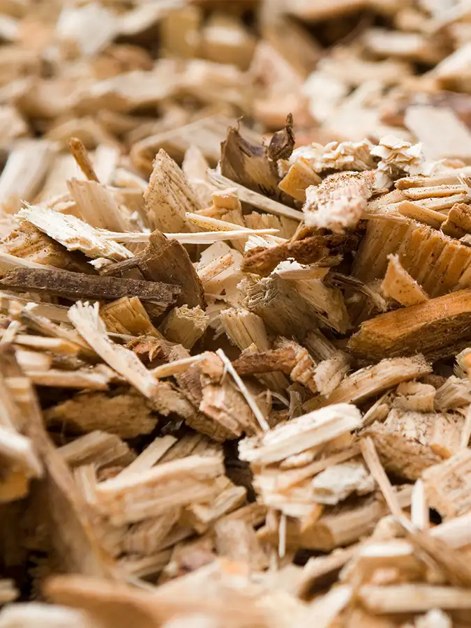 Hackschnitzel-Wald-Holz-Energie-Sennwald